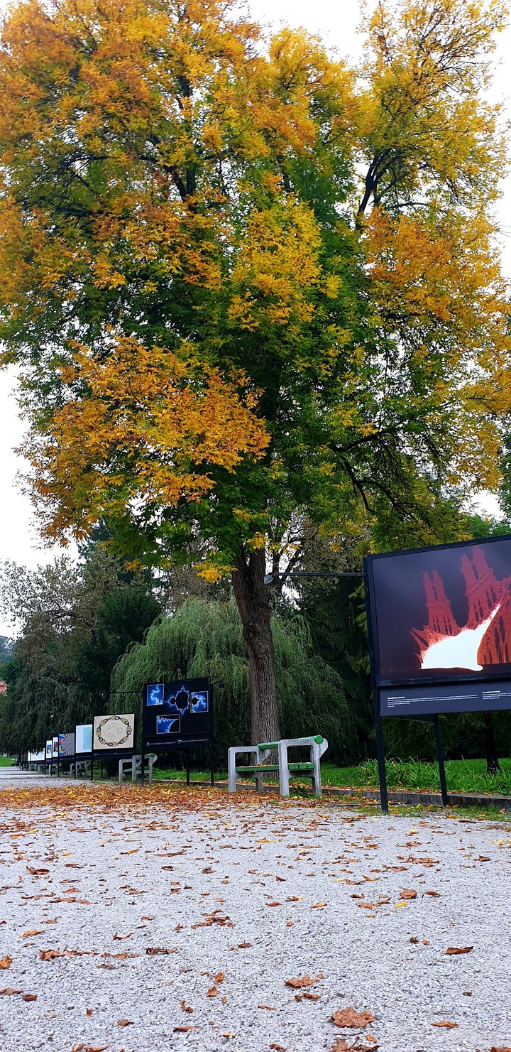 autumn