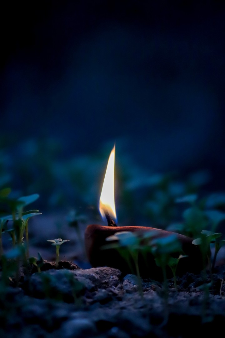 lights