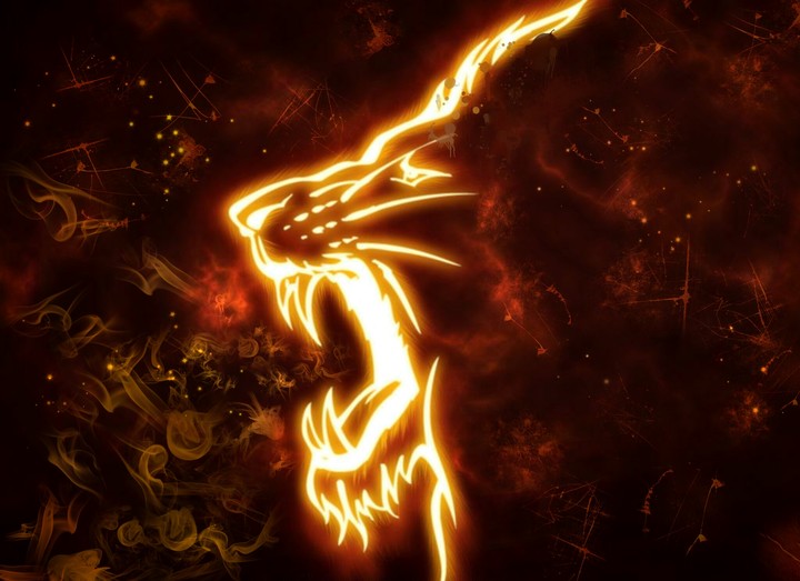the Fire Within