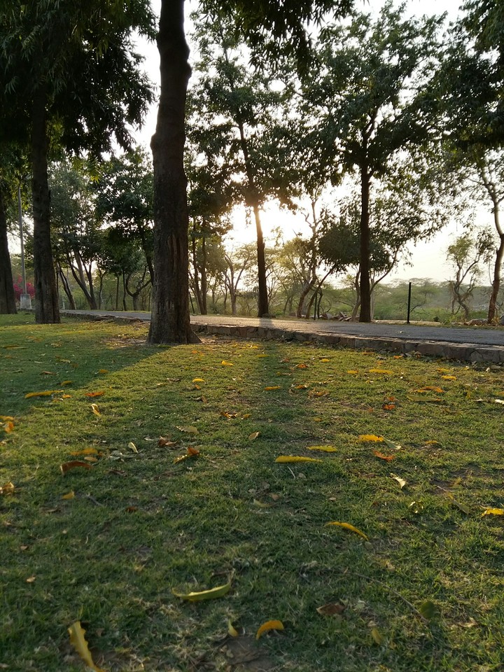 Badkhal Lake Faridabad