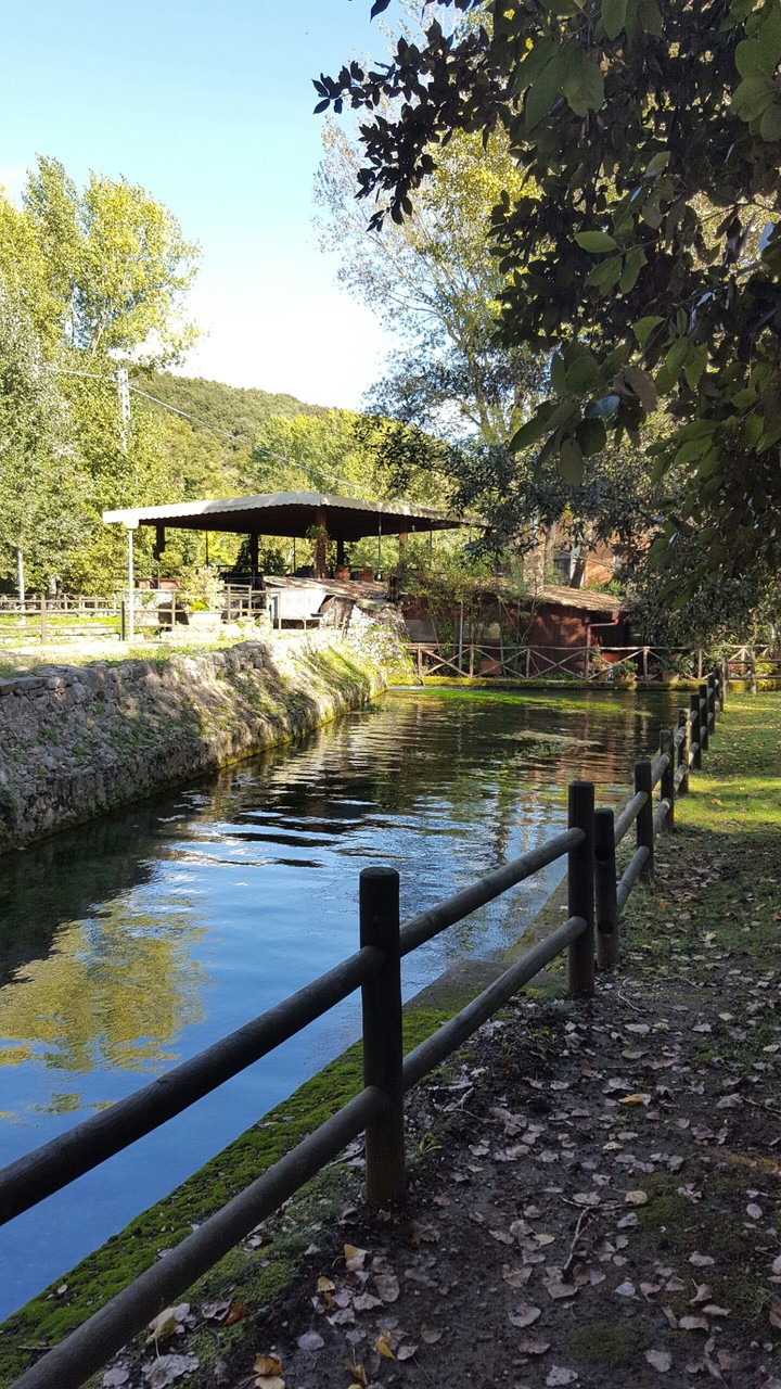 Acqua tra le foglie