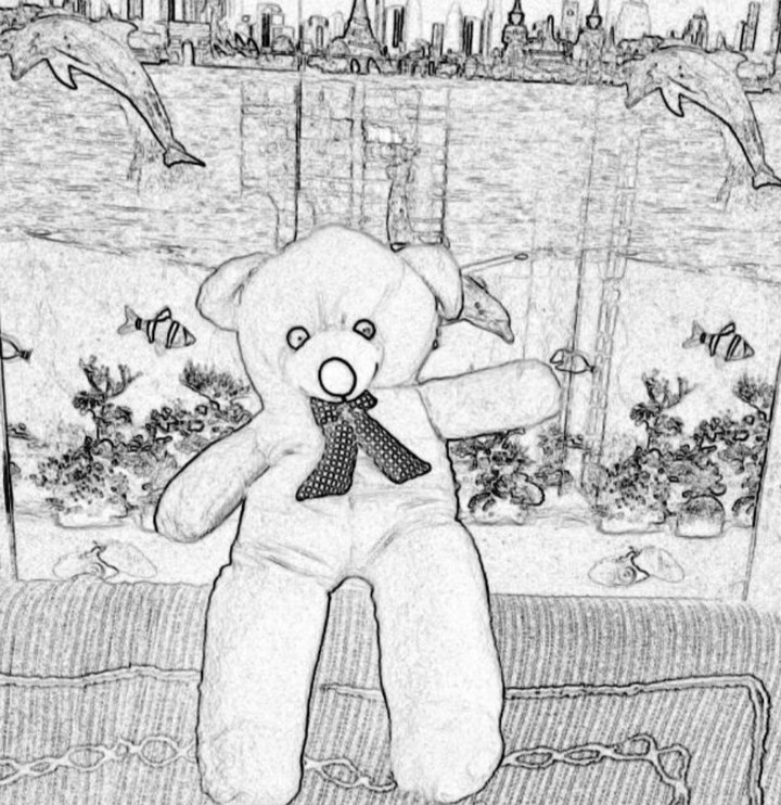 teddy