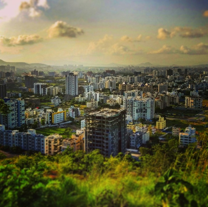 city in jungle