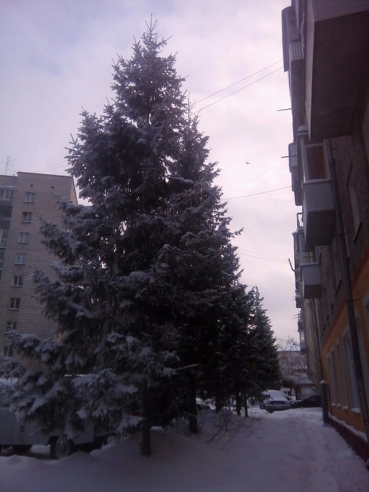 Зима.