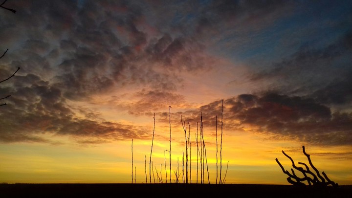 Beautiful sunset  