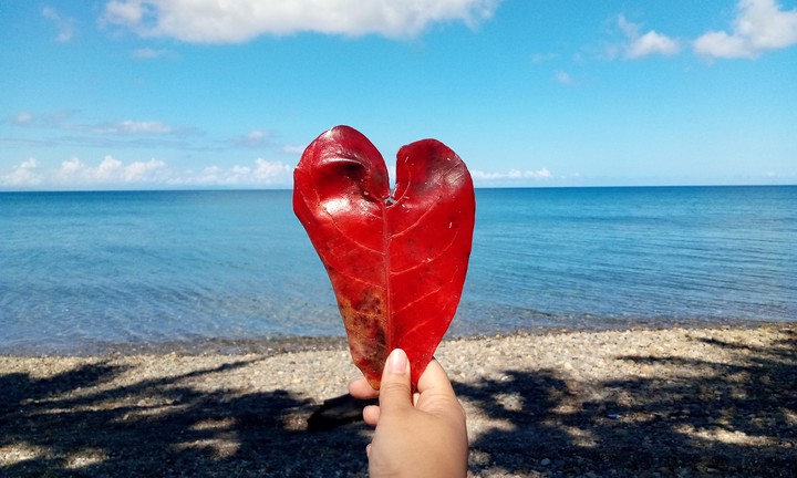 unexpected heart
