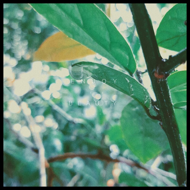 album e