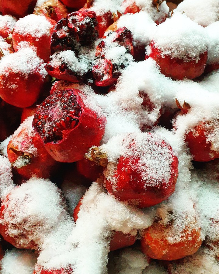winter pomegranate