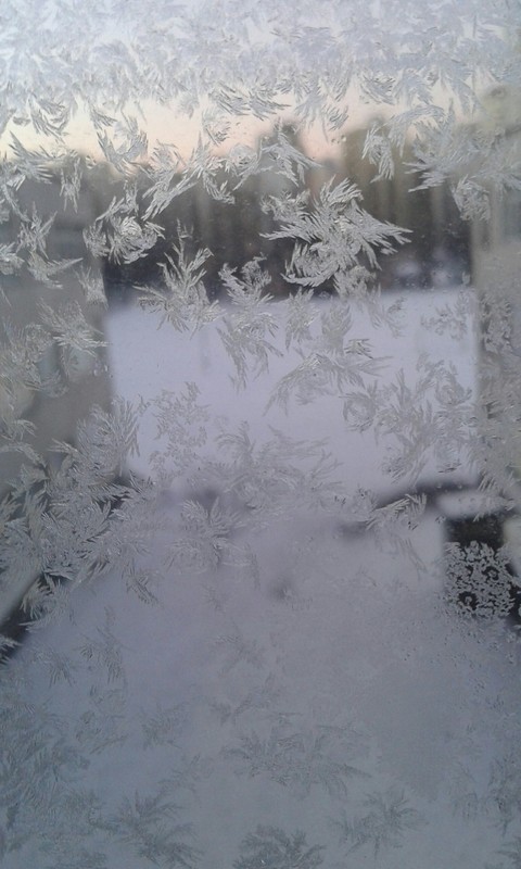 Winter