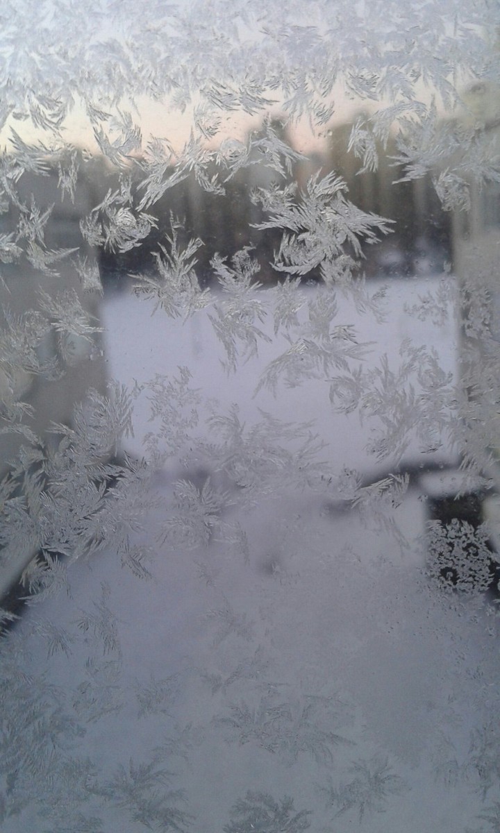 Winter