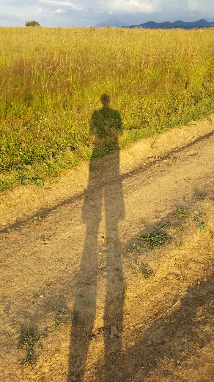 Walk among the grass at sunset.