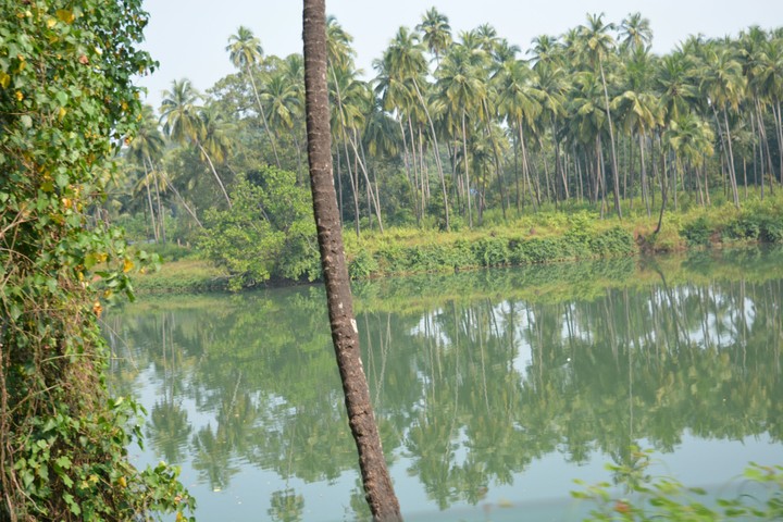another natural beauty scene