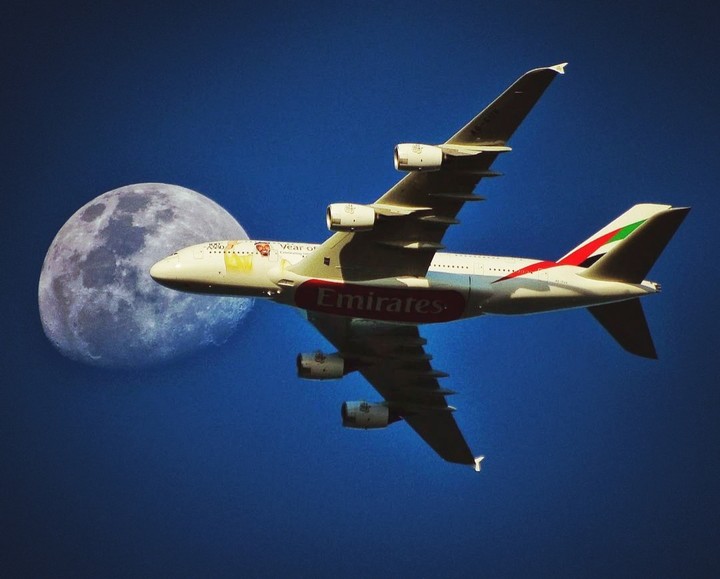 fly to the moon