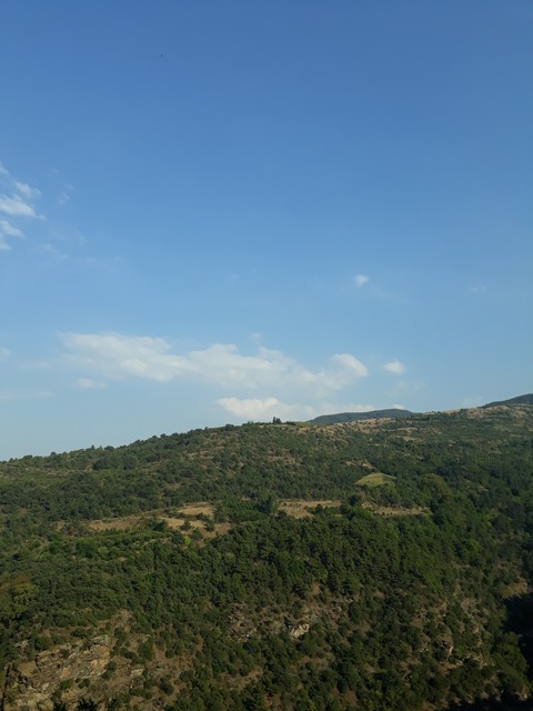 Salihli