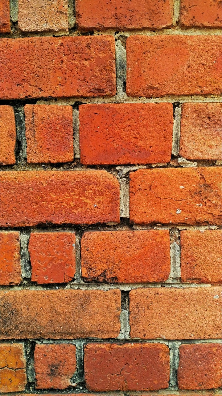bricks