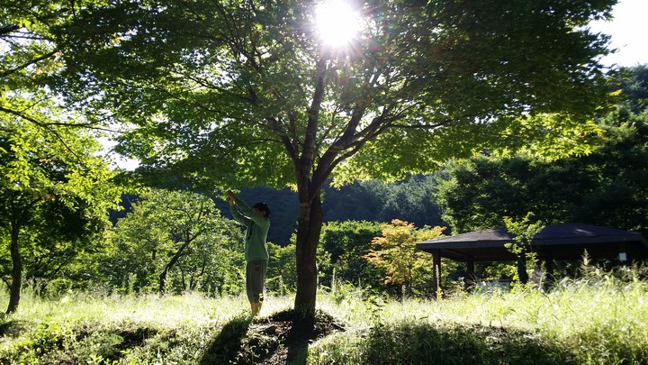나무 아래