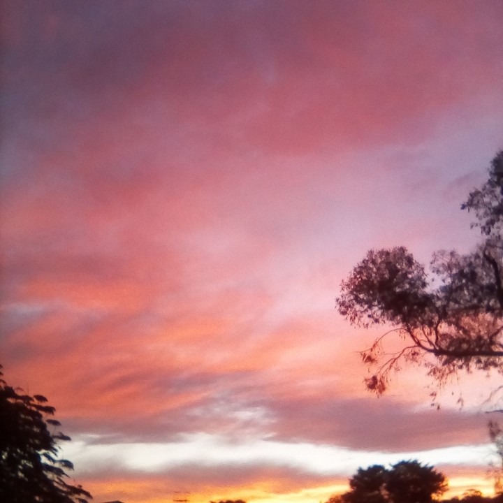 tonight's incredibly beautiful sunset