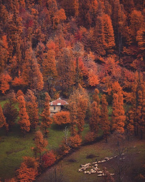 Iran_Guilan