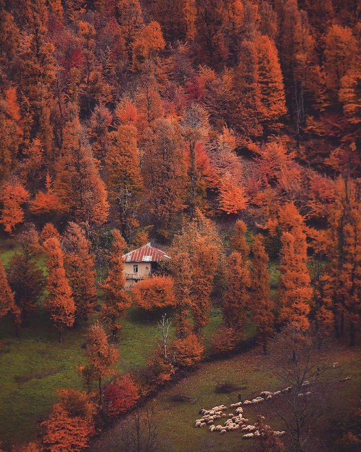Iran_Guilan
