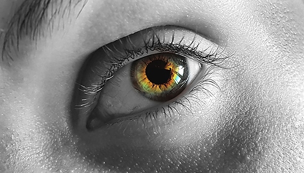 eye