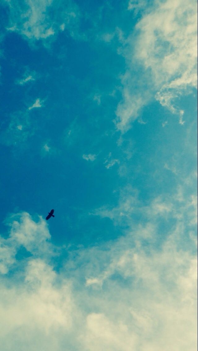 Blue sky