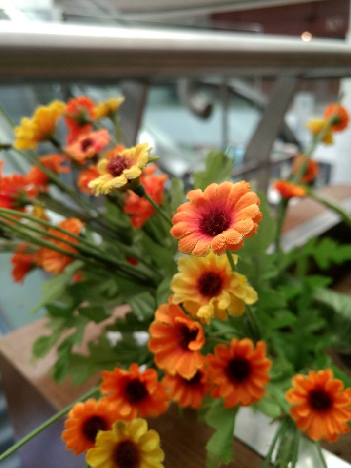 flowers