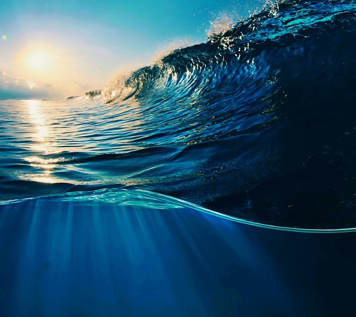 The Sea