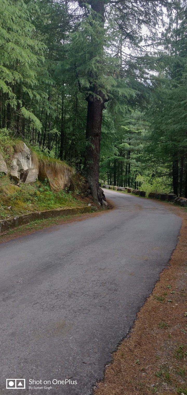 Himachal Dairies