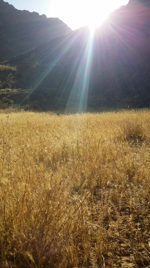 sunshine