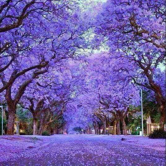 Harare