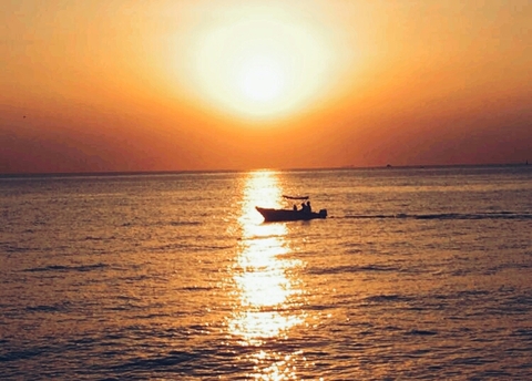 Sunny