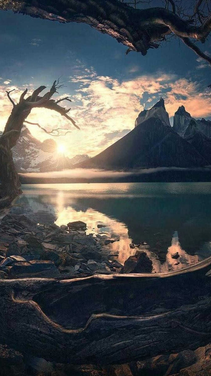 nature