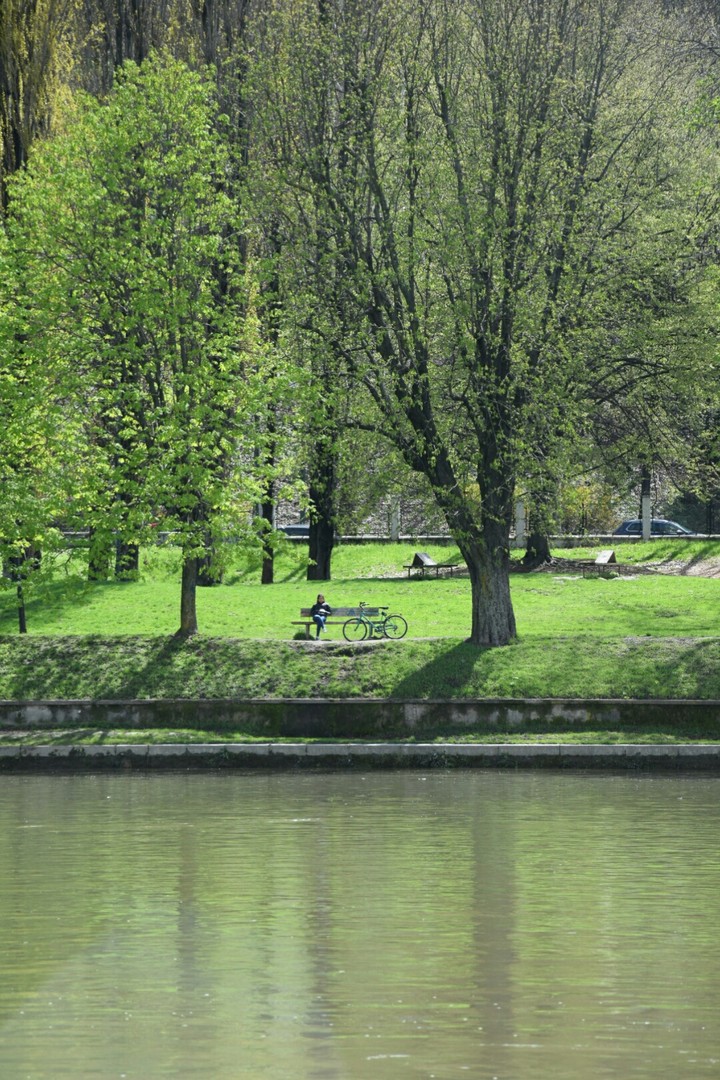relax in the Park
