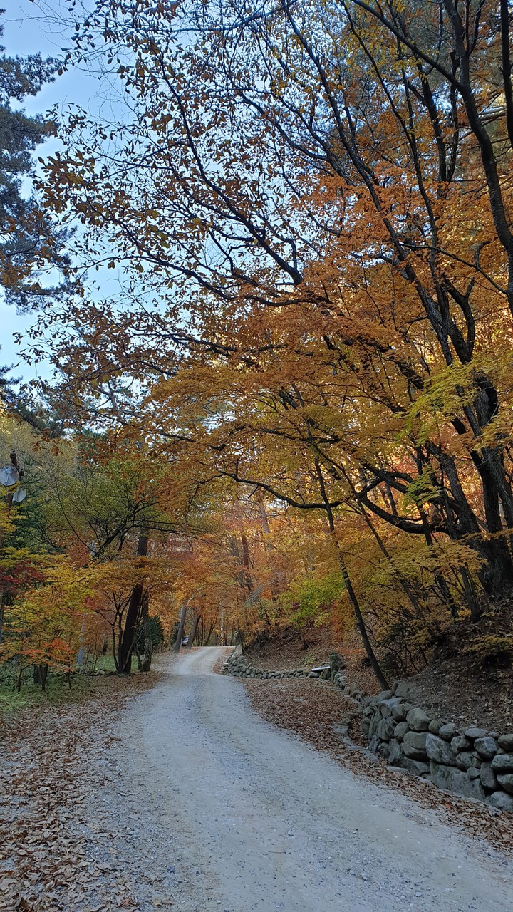 가을길