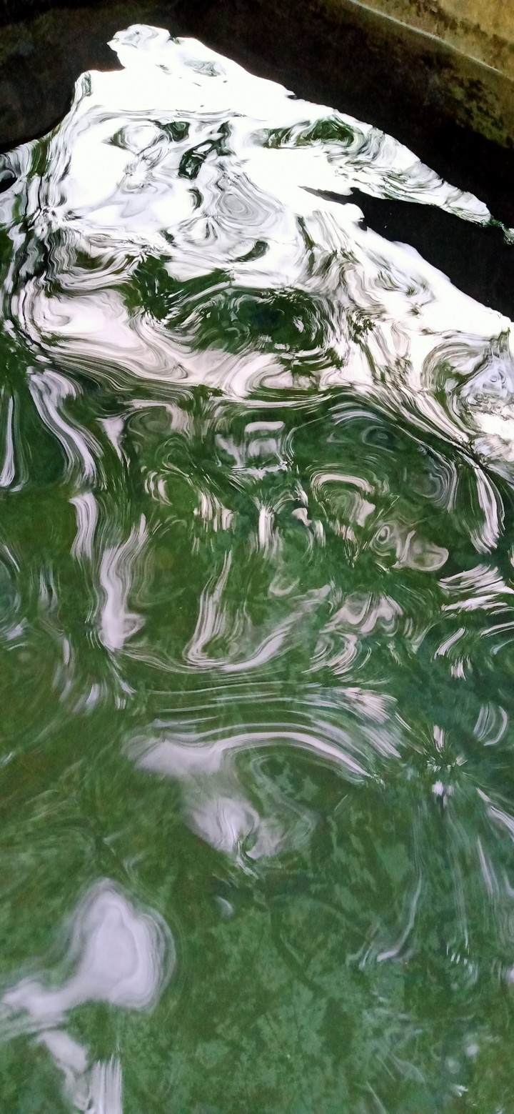 ##Water##