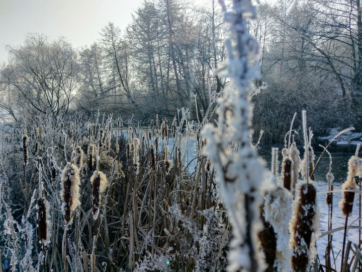 Winter is my marvel