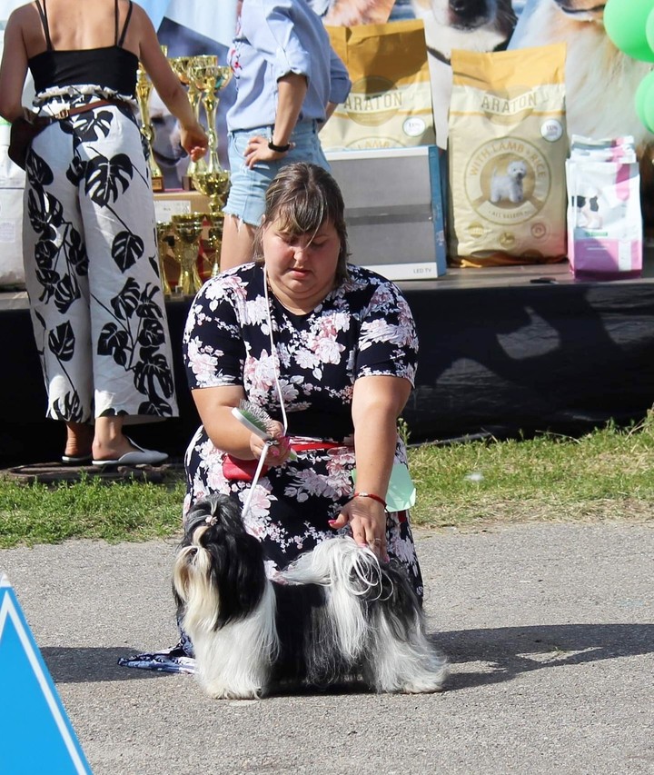 shihtzu