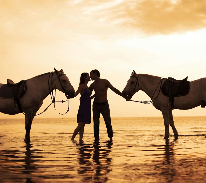 love