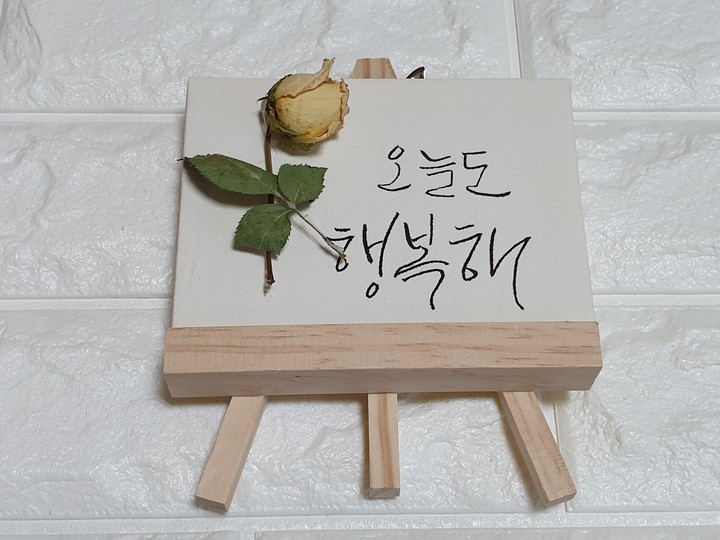 캘리