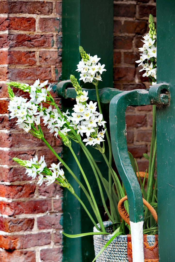 #flowered pot
