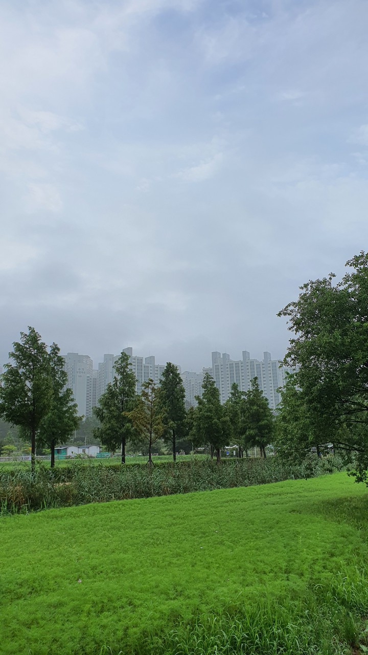 흐린 아침(cloudy morning)