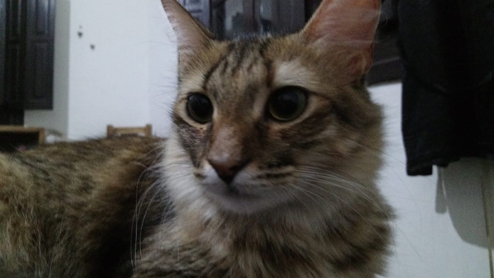 Kiki 3