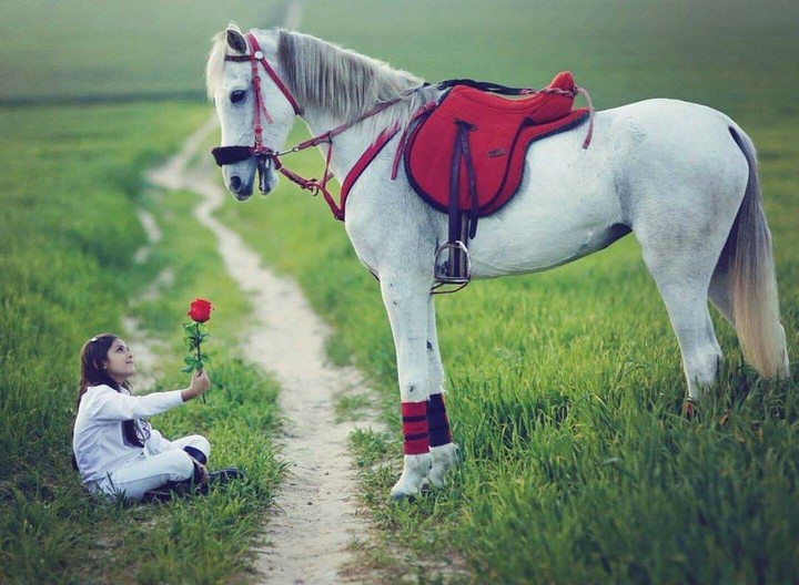 #Horse