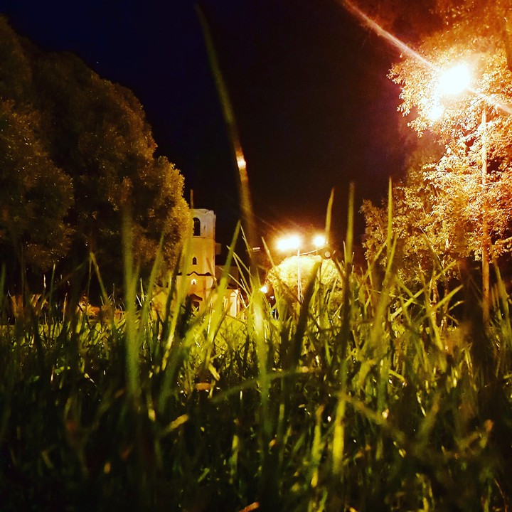 трава