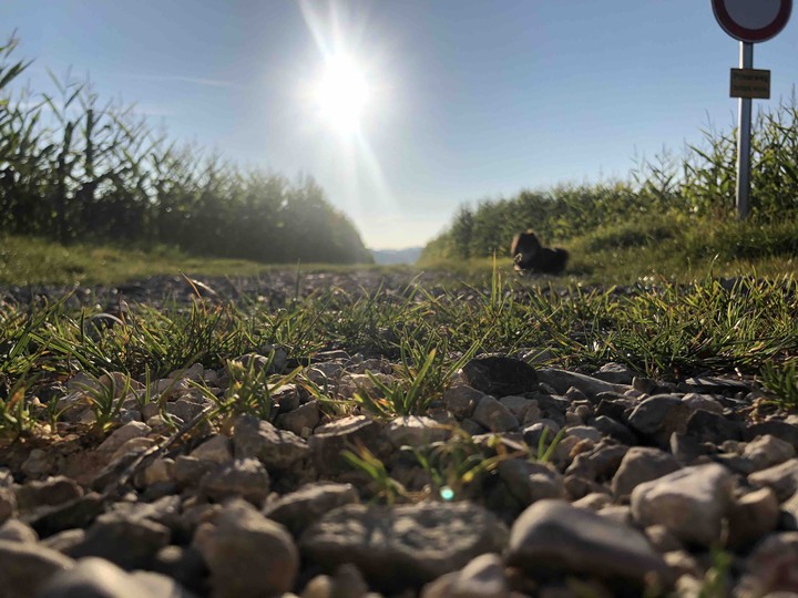 .