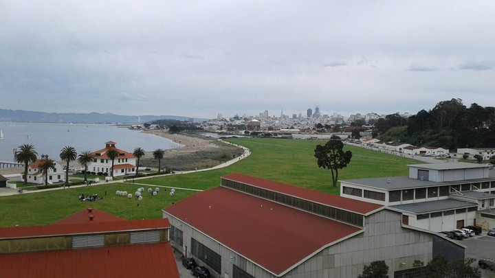 SF Marina