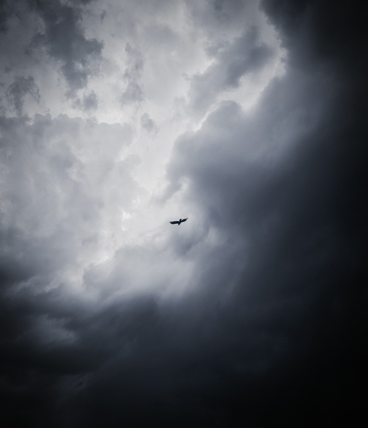 fly high