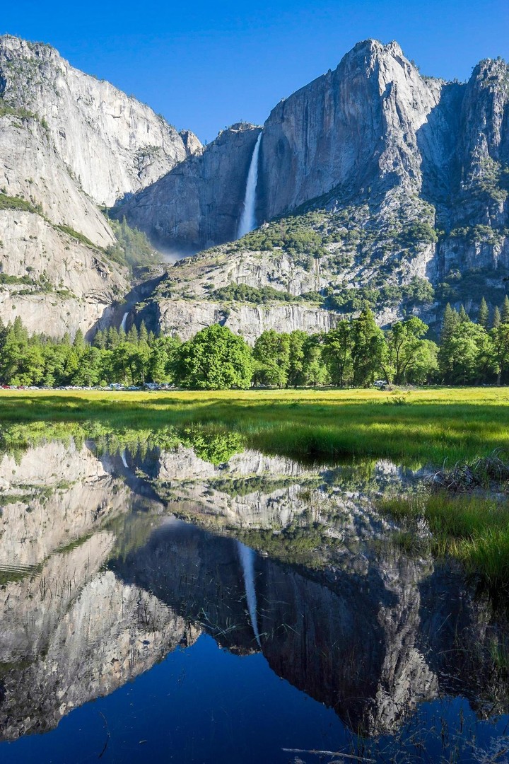 Nature