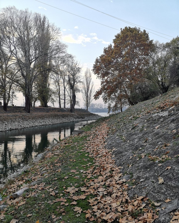 autumn