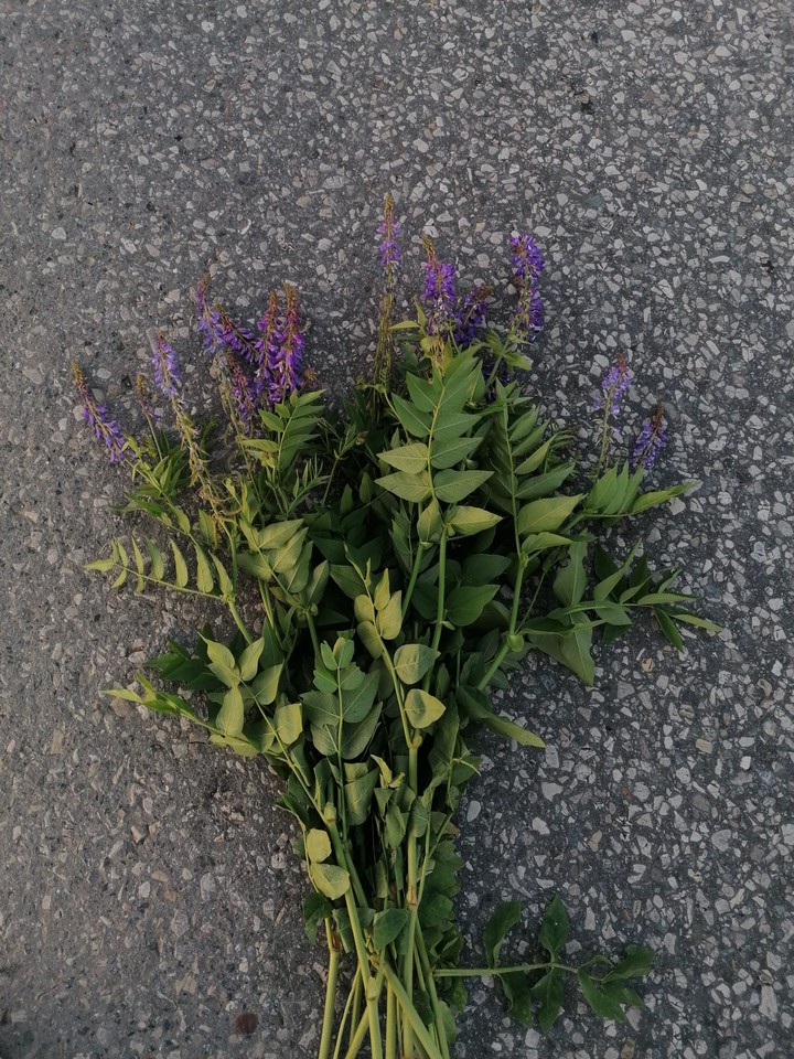 flowers on the road